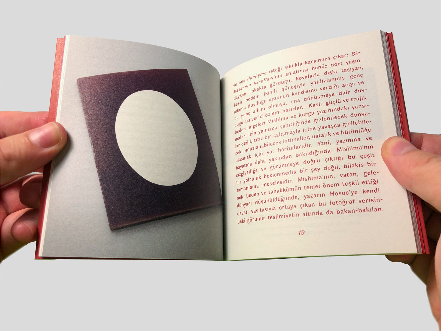 Yukio Mishima, Eikoh Hosoe ve Güllerin çilesi