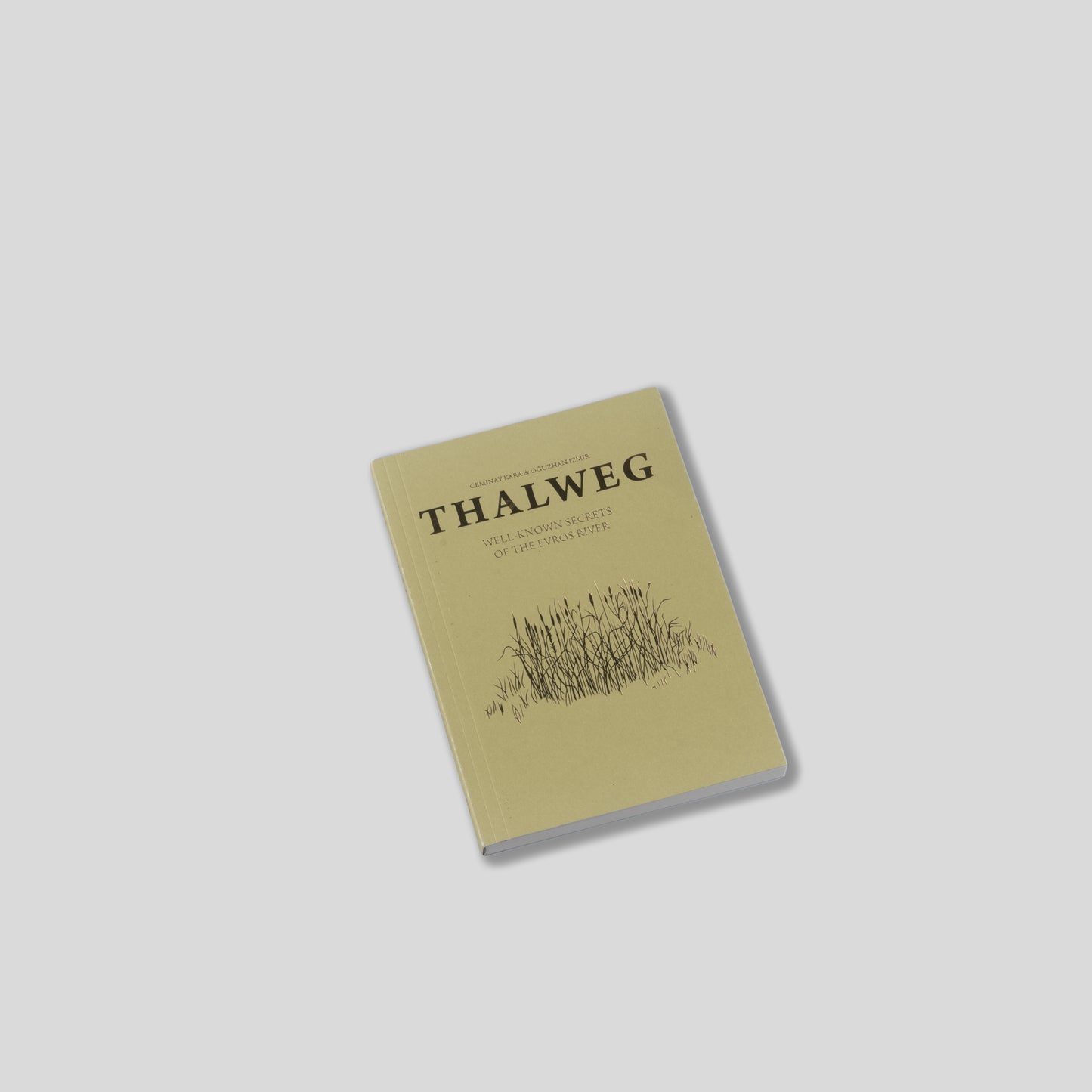 Thalweg