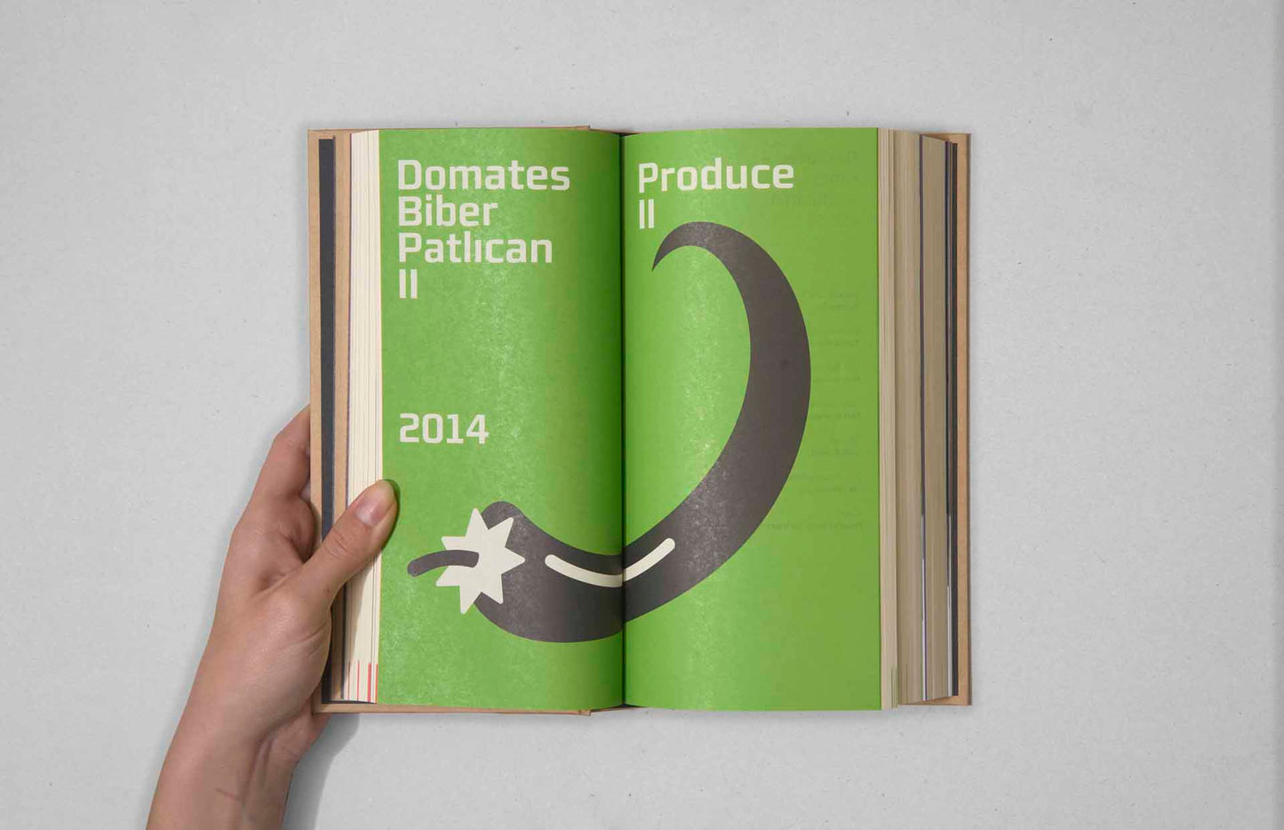 Domates Biber Patlıcan: Bir Etkinliğin Külliyatı 2012-2016 / The PRODUCE: The Compendium of an Event 2012-2016